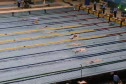 200 Breast-Japan...Lane 1